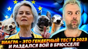 ВИАГРА ИЛИ ТЕСТ НА ГЕНДЕРНОСТЬ | И РАЗДАЛСЯ ВОЙ В БРЮССЕЛЕ | СУДЫ В СТИЛЕ ТРАМПА