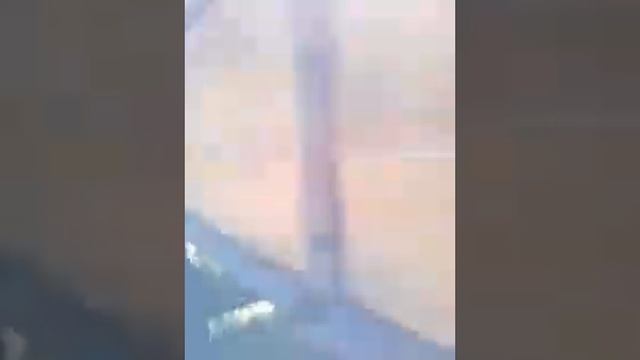 можно ли найти живой тракторный прицеп 2 птс 4 за 55000р. с доками ??