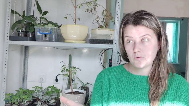 Перемены в жизни, в хобби. Куда пропала на 3 месяца? Болтаем. смотреть онлайн