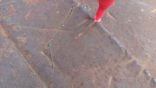 # тегер!!!!!!!!