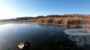 ПЕРВЫЙ ЛЕД 2022!РАССТАВИЛ ЖЕРЛИЦЫ по первому льду!Щука на жерлицы!Зимняя рыбалка первый лёд!
