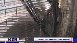 Кролиководческий комплекс "Российский Кролик", Г. Казань, Высокогорский район