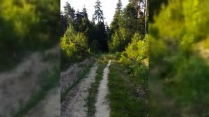 19.06.2023 18:54 [Ищу путь до озера Панино]