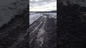 Орловская обл, новосильский район, деревня чернышено