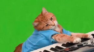 ФУТАЖ НА ЗЕЛЕНОМ ФОНЕКОТ ИГРАЕТ НА ПИАНИНО/FOOTAGE ON A GREEN BACKGROUND A COTT PLAYING THE PIANO