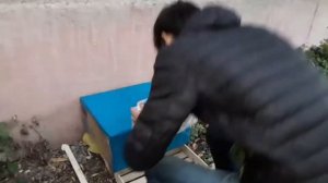 Поставили домик для бездомной кошки с котятами , родила котят под дождём.