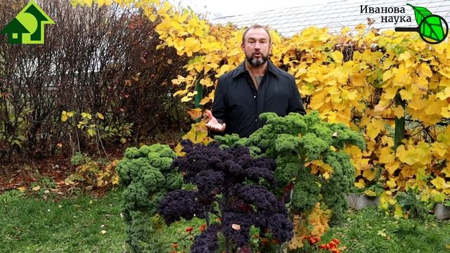 КРАСНЫМ СТЕРЖНЕМ. САД, ОГОРОД, СВОИМИ РУКАМИ: стало понятно, что с ним не так! Но как это исправить смотреть онлайн