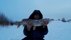 Зарыбление Платника (Исаковцы) + Рыбалка на Щуку 2017 - Видео