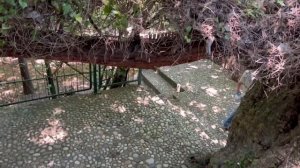 #13 РЫНОК в ТЕКИРОВО. КУРШУНЛУ- ТАМ ОДНОЗНАЧНО СТОИТ ПОБЫВАТЬ! ТУРЦИЯ в МАЕ 2022