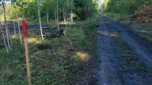 Начало строительства обзор участка участок 8  соток