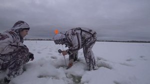 Мотобуксировщик Альбатрос Л 9 в реальных условиях, вода, лед, снег ??? Рыбалка на жерлицы мега щуки