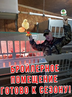 Бройлерное помещение готово к сезону