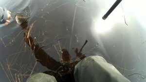 Весенний ЖОР плотвы. Рыбалка на поплавок на Рыбинском водохранилище.