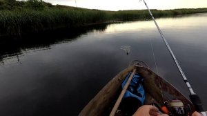Так вот каких карасей ест Щука!!! Ловля щуки в июле на блесну!