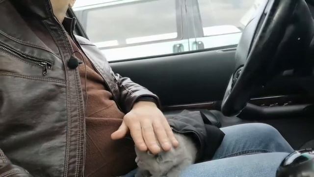 Что подарить  девушке на 8е Марта