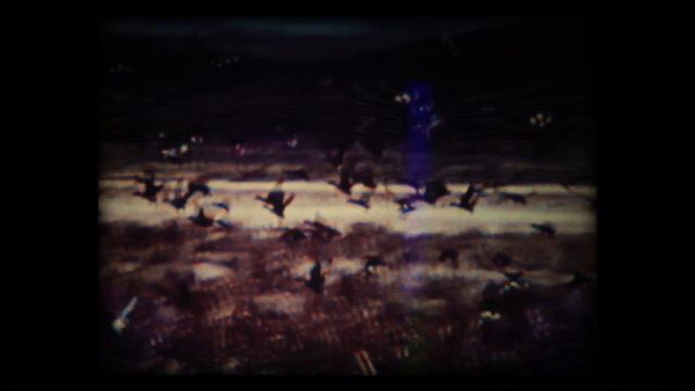 Happy Hunting (2017) Exclusive "VHS" Teaser HD смотреть онлайн