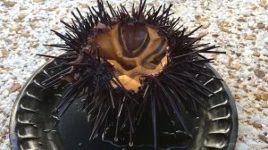 Поедание живых существ живьем