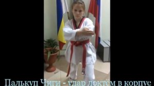 Палькуп чиги