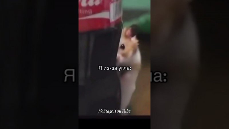 У всех автолюбителей так?