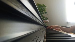 Шопен - собачий вальс little REMIX ?