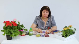 Самые неприхотливые многолетние цветы. Как легко посадить мгноголетники. Ленивая клумба.