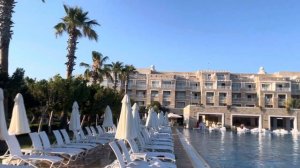 Andriake Beach Club. Обзор бассейна и зоны отдыха рядом