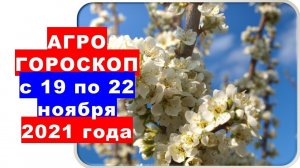 Агрогороскоп  с 19 по 22 ноября 2021 года