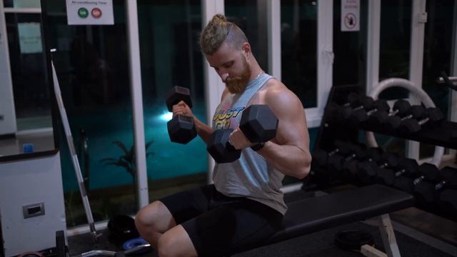 Seated biceps curls with dumbbells / Сгибания на бицепс с гантелями сидя смотреть онлайн