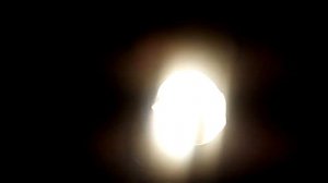 обзор самодельного овоскопа. овоскоп своими руками