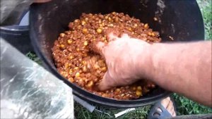 Карповая рыбалка на дикаре