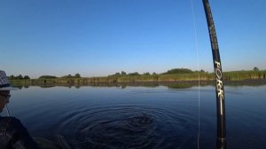 Отличная рыбалка на щуку в жару +35!!! Разливы Волги - Чапаевские луга!