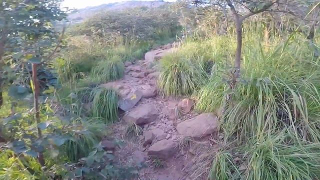 Аруначала-гора-учитель.Индия.Тируваннамалаи.India.Tiruvannamalai.Arunachala.