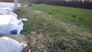 второй слой агроволокна на клубнике