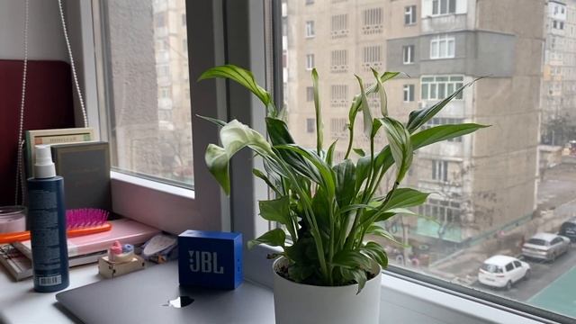 LE VLOG 10: в котором февральский дневник. Железноводск, Бишкек, Секонд-хенд, распаковка Wildberrie