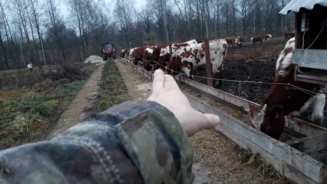 Навозная аллея и лагуна - часть 1 смотреть онлайн