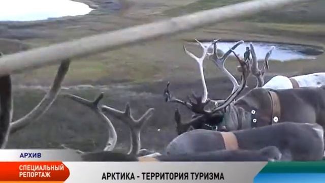 Арктика — территория туризма