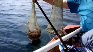 Рыбалка в Море,бычки на спиннинг Sea fishing