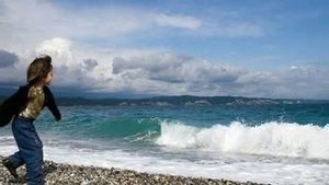 морские звезды