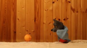 Колобок.  Кукольный театр би-ба-бо