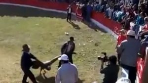 Кондор и бык борются за свободу на фестивале в Перу