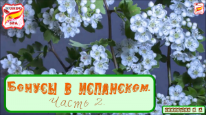 141. Бонусы в испанском. Часть 2.