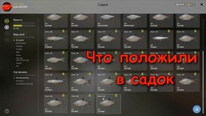 Русская рыбалка 4(рр4) - река Северский Донец. Густера.