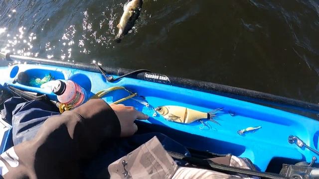 Hover Strolling for Coldwater December Fish on BFS смотреть онлайн