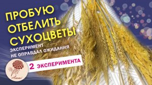 ЭКСПЕРИМЕНТ. ПРОБУЮ ОТБЕЛИТЬ СУХОЦВЕТЫ. Смотрите результат. Очень неожиданно.mp4