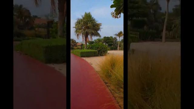 Ritz Carlton Dubai смотреть онлайн