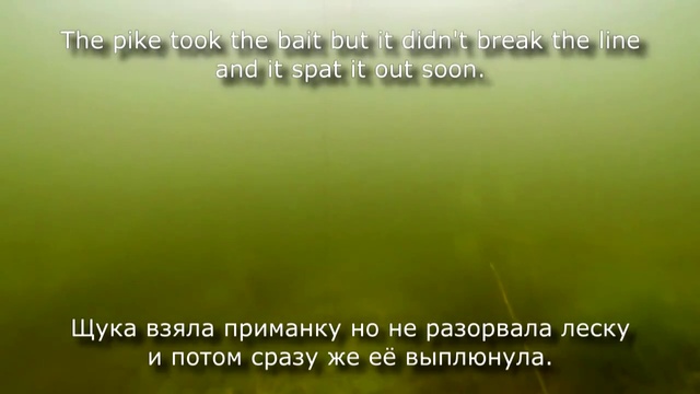 Как щука атакует приманку. Подводная съемка! смотреть онлайн