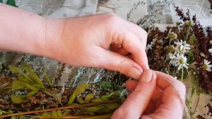 ТРАВЫ И ВЕТКИ ДЛЯ ПОПУГАЕВ НА ЗИМУ! ЗАГОТОВКА НА ВСЮ СТАЮ!