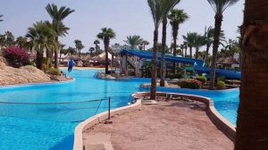 Египет 2019.Территория отеля Джоли Вили Гольф/JOLIE VILLE GOLF & RESORT 5/Часть 1