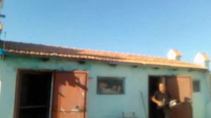 Голуби города Сальска