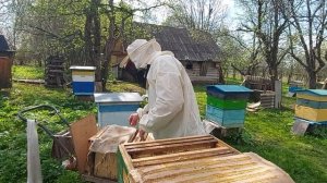 Пчеловодство № 95 Что делать, что бы пчелы не роились? Расширение, вариант 1.